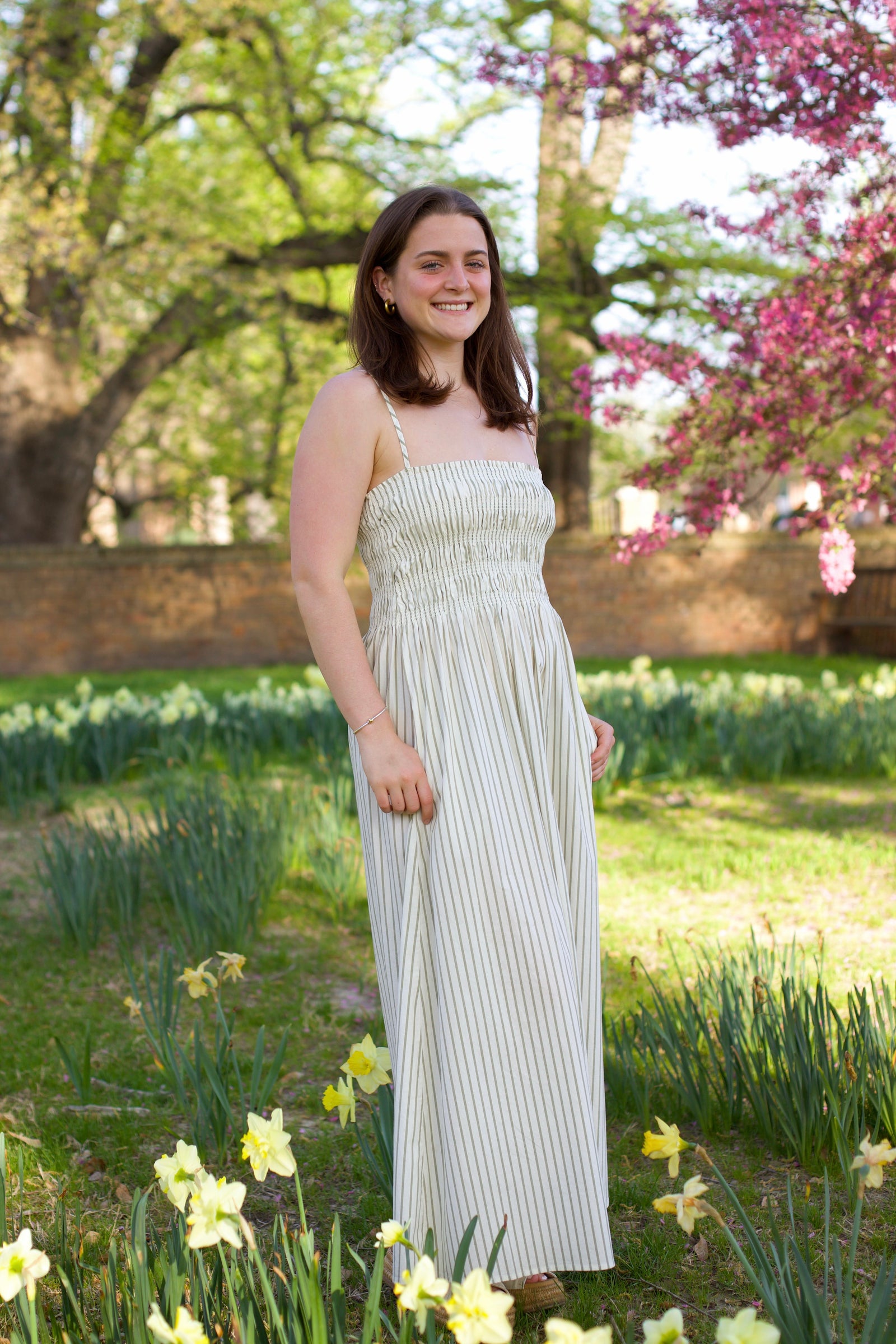 Bianca Sheered Bodice | Sage Egret Stripe