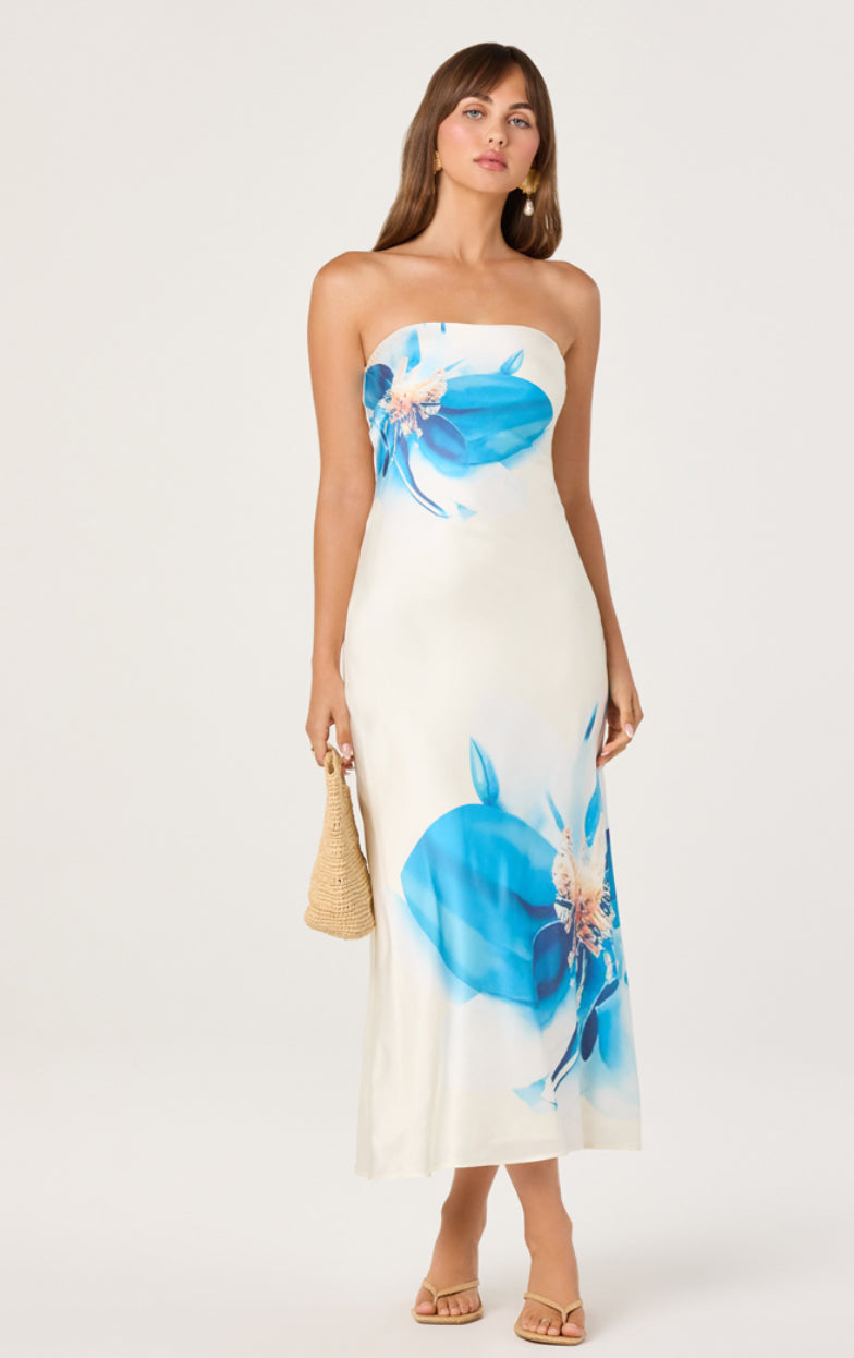 Annabeth Dress | Blue Floral