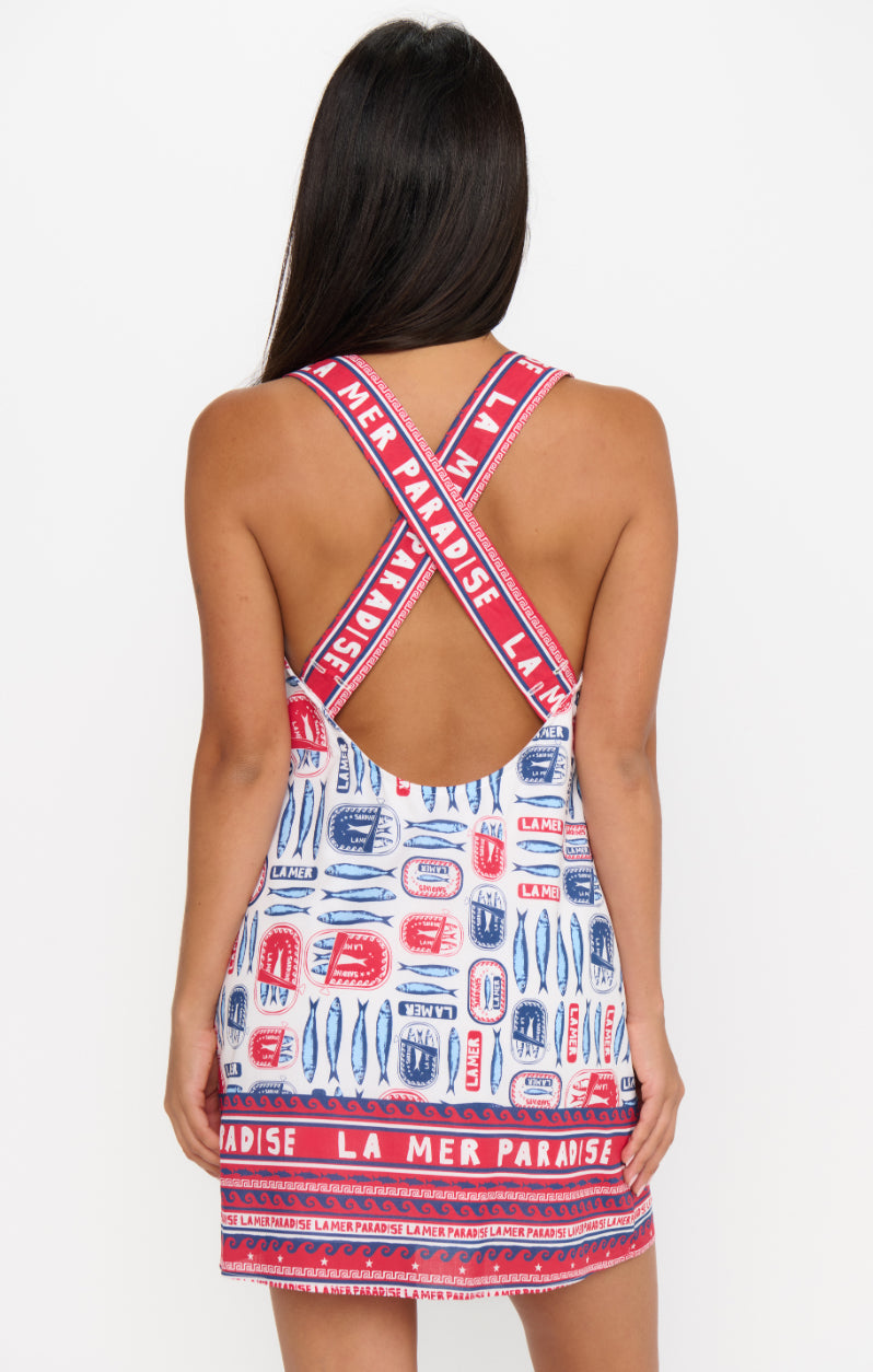 Detour Mini Dress | Sardine Border