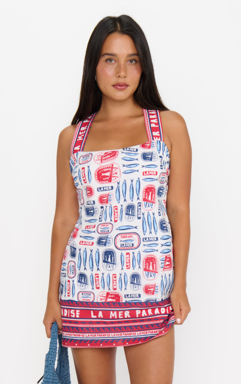 Detour Mini Dress | Sardine Border