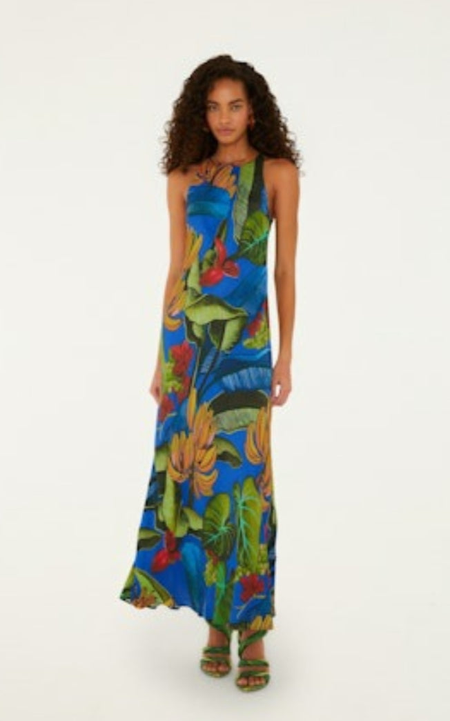 Banana Grapes Blue Sleveless Maxi Dress