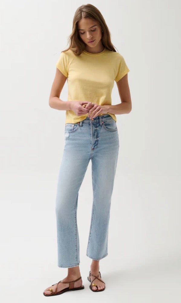Ally High Rise Vintage Ankle | Misted Eve